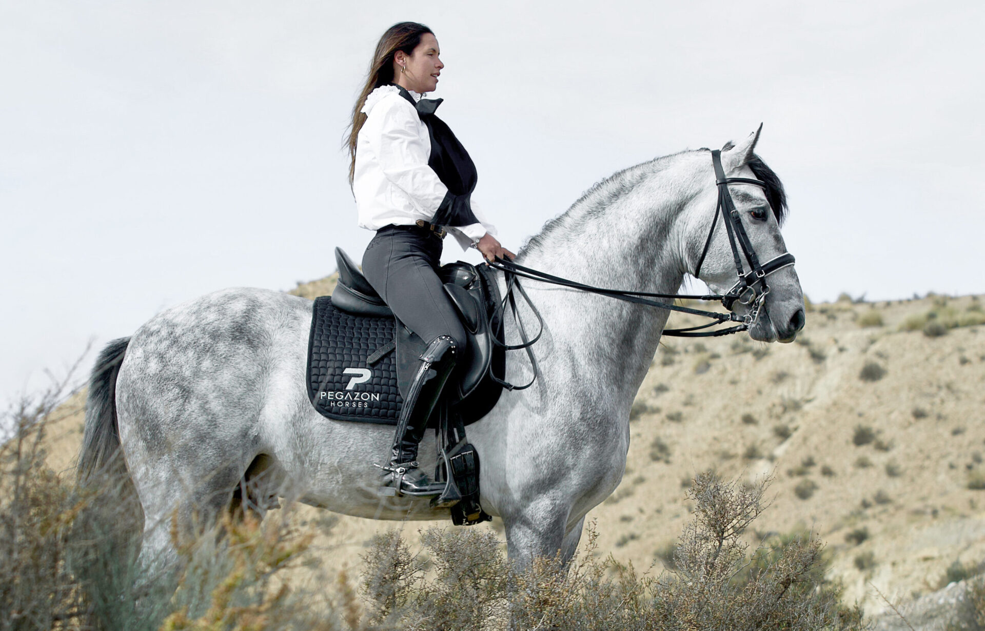 Woman rider on a standing horse in desert landscape